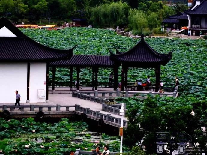 坐着地铁去旅行|武汉地铁4号线吃喝超全攻略!