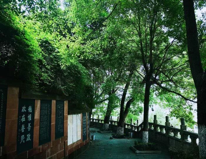 坐着地铁去旅行|武汉地铁4号线吃喝超全攻略!