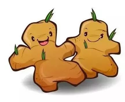 夏季吃姜4大禁忌要牢记,夏吃姜怎样不上火