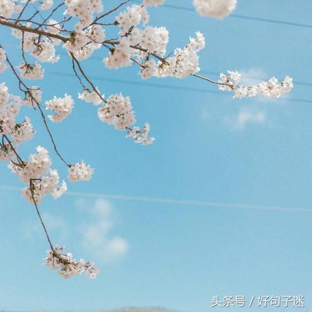 告白情话最暖心感动的话,最浪漫的告白一句话