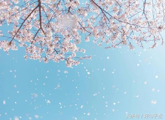 告白情话最暖心感动的话,最浪漫的告白一句话