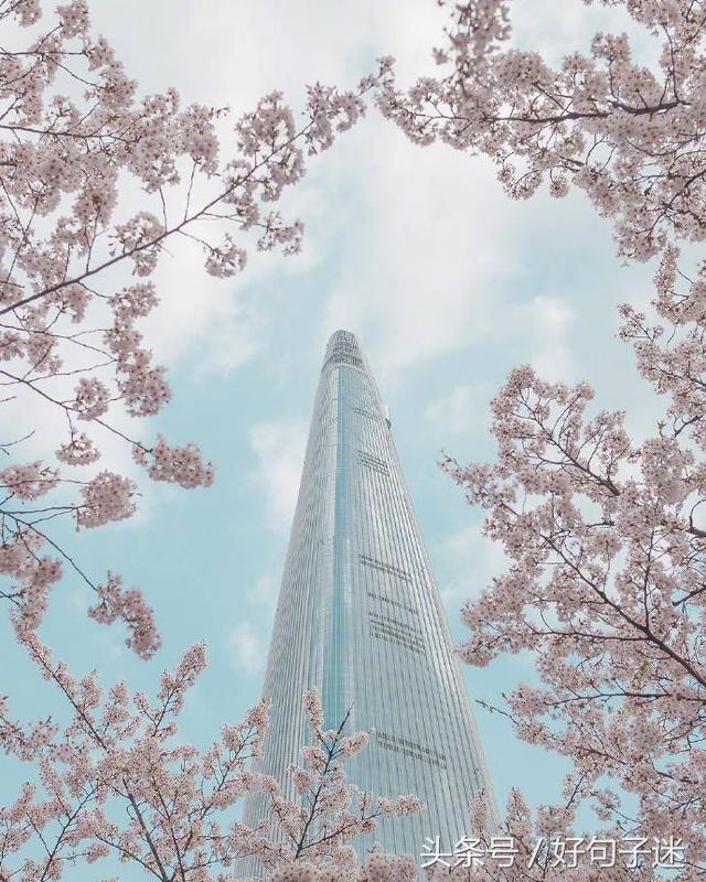 告白情话最暖心感动的话,最浪漫的告白一句话