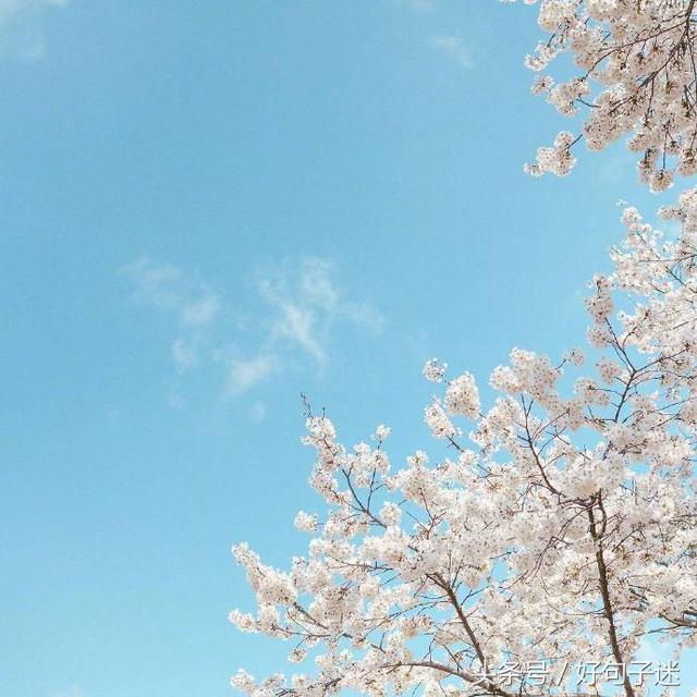 告白情话最暖心感动的话,最浪漫的告白一句话