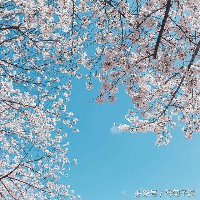 告白情话最暖心感动的话,最浪漫的告白一句话