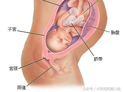 怀孕晚期高血压要注意什么,卵巢囊肿怀孕晚期要注意哪些问题