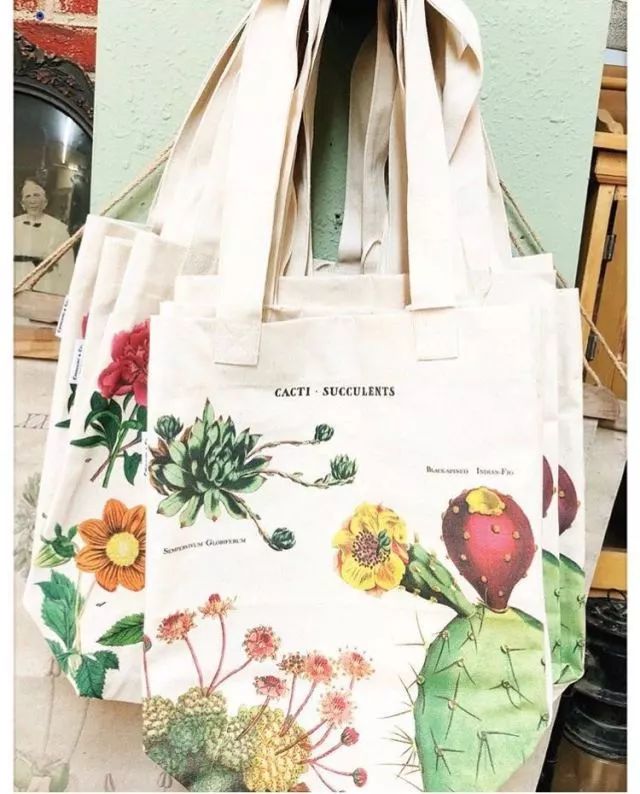 承包我一年四季的照片,承包了我整个夏天的衣服