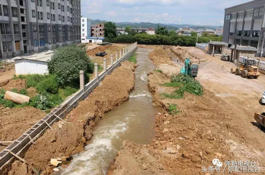 四中学校死人案,四中学校学生死亡事件