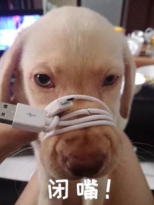 手机数据线坏了能修吗,手机的数据线坏了怎么办