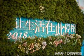 尹山湖阳光天地20幢,尹山湖阳光天地直播专场