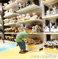 尹山湖阳光天地20幢,尹山湖阳光天地直播专场