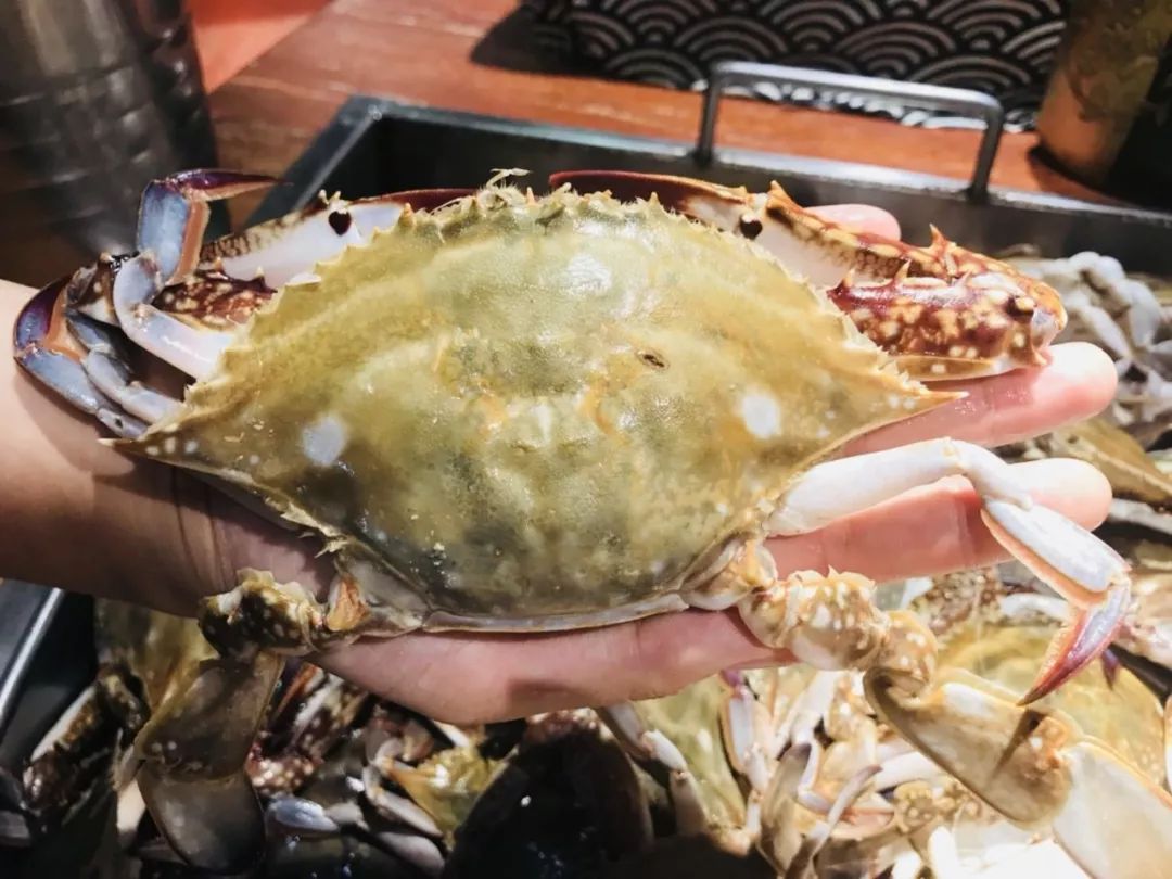 50种不限量海鲜,长春美食特色海鲜