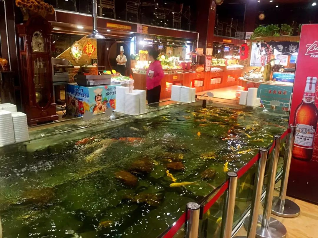 50种不限量海鲜,长春美食特色海鲜