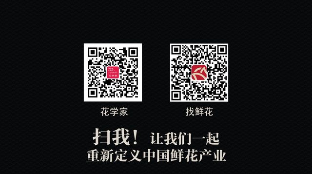 互联网花店商机分析,互联网花店发展趋势