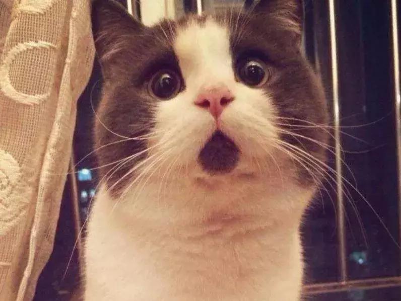 我不是药神当时有多轰动,我不是药神中的感动画面