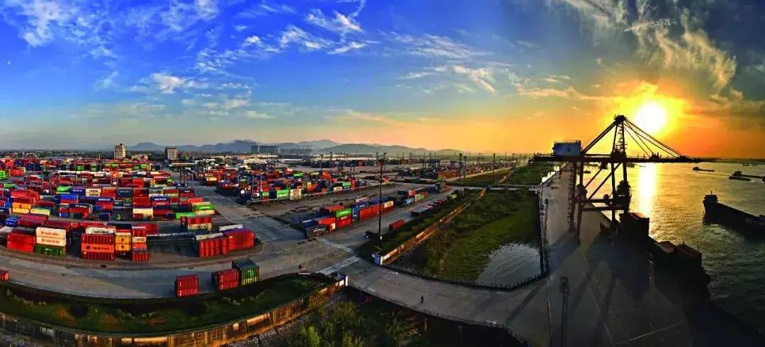 我不是药神当时有多轰动,我不是药神中的感动画面