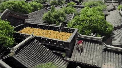 邪不压正许晴彭于晏,邪不压正许晴结局