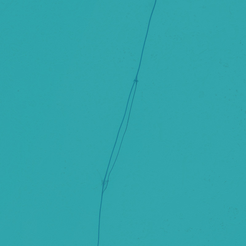 比碰碰车蛮横的是坦克，比Tank更横的是北冰洋上的巨型油罐