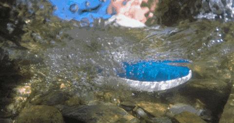 还真有一些限量版球鞋，在莆田也不一定能找到！