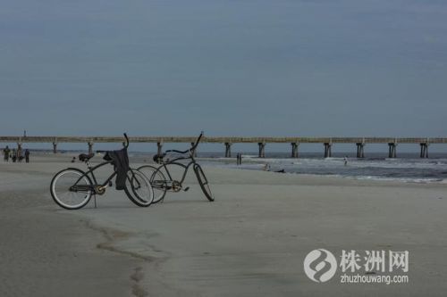 美国佛州现状,美国南部最大城市