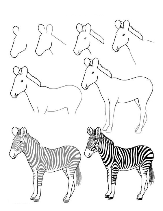 1000000个可爱动物简笔画,10000种超萌动物简笔画大全