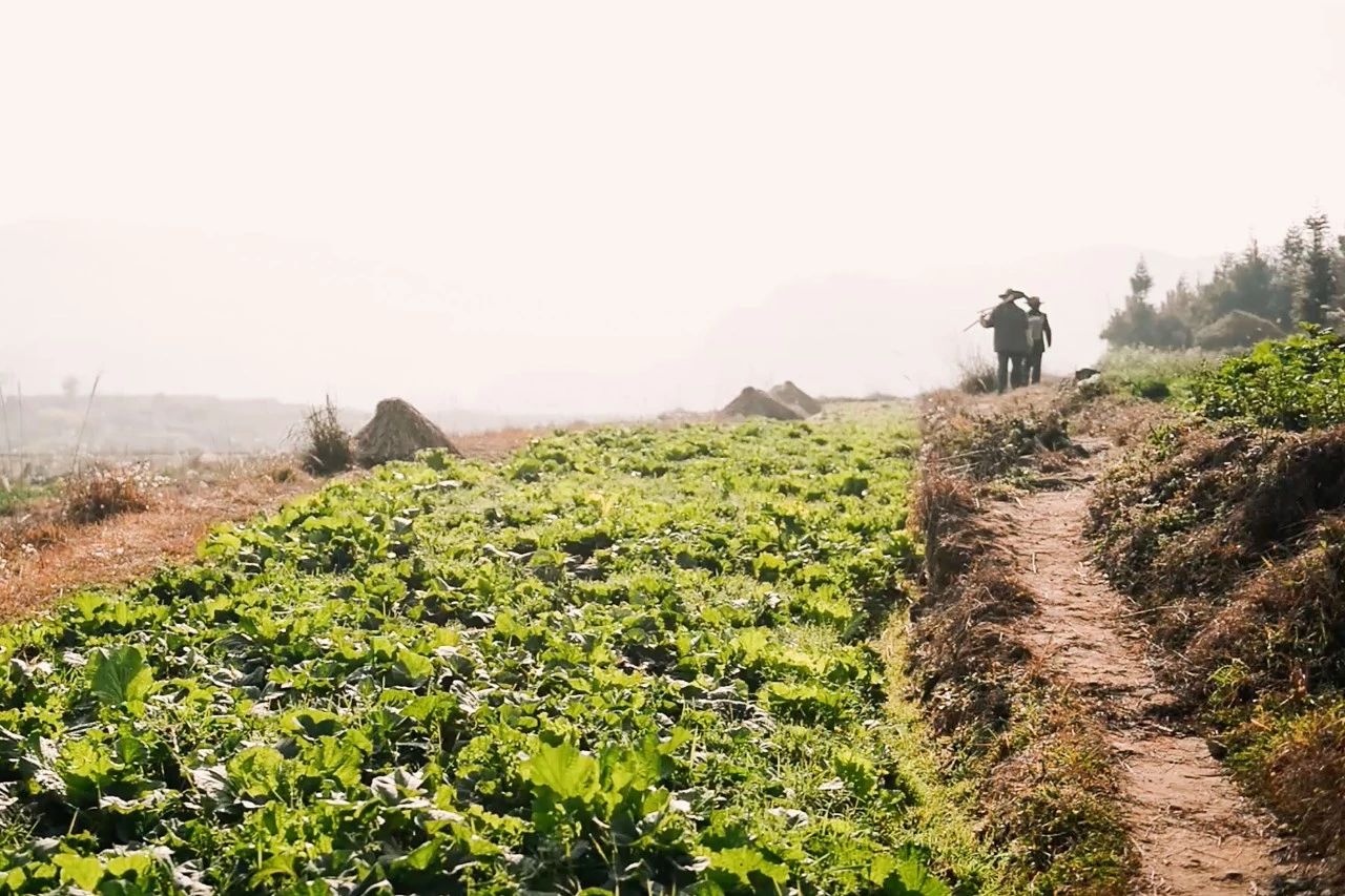 北漂25年买不起房,北漂20年买不起房