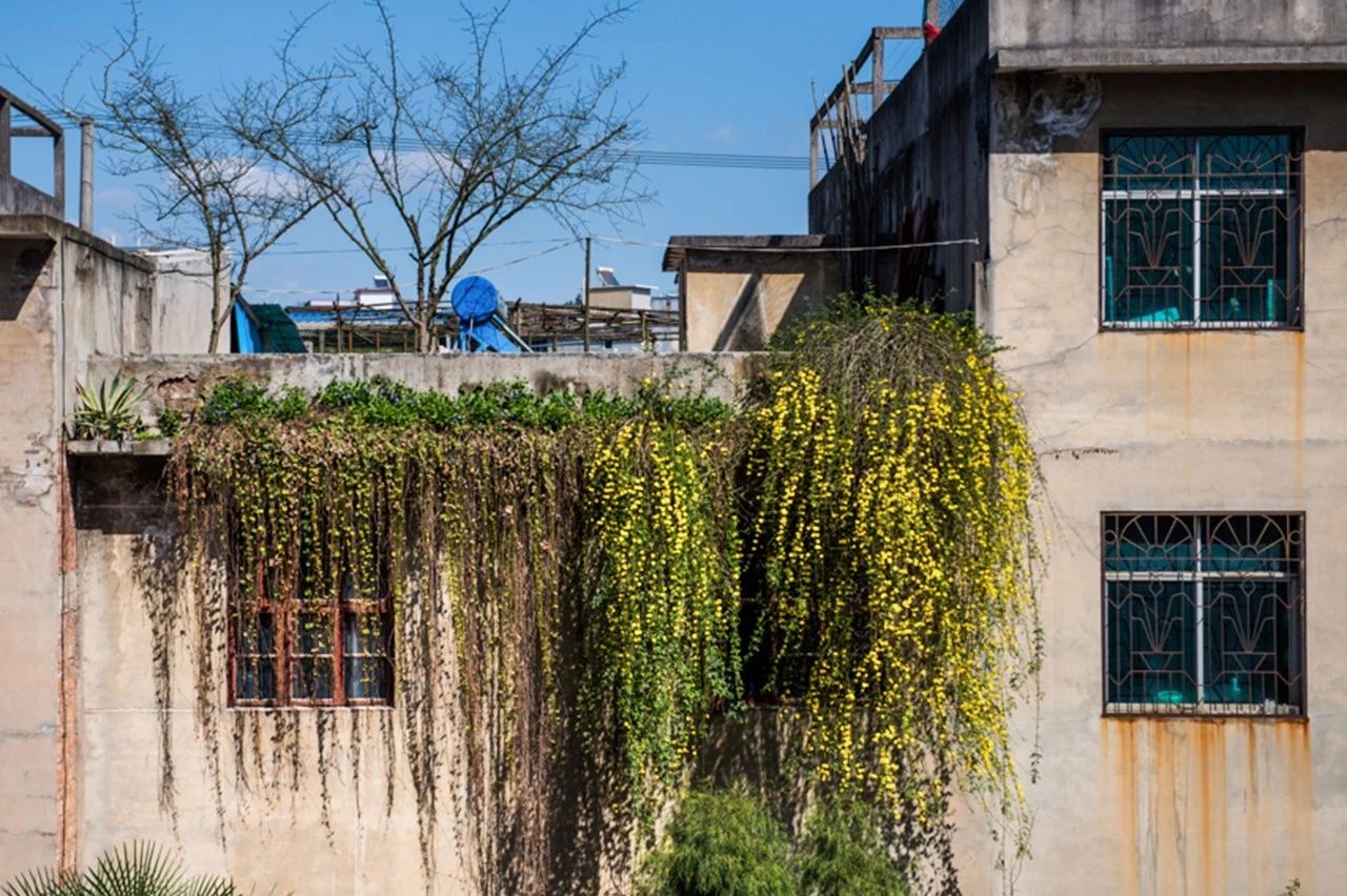 北漂25年买不起房,北漂20年买不起房