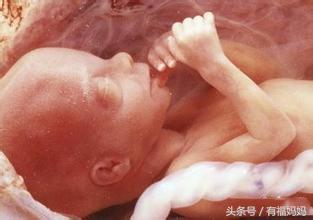 五个月的胎宝宝长成人形了吗,八个月胎宝宝的真实模样
