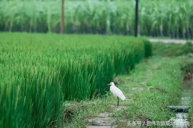 涔℃潙鏃呮父骞存帴寰呴噺鍓嶅崄鍚嶆潙,璐靛窞鏉戣秴娓稿鏁伴噺鎺ュ緟鍘嗙▼