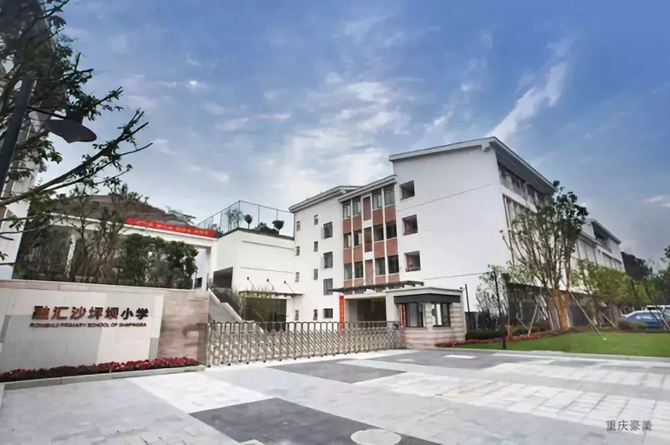 重庆渝北区小学划片一览表2021,重庆九龙坡区小学划片一览表