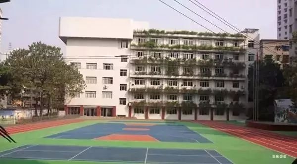 重庆渝北区小学划片一览表2021,重庆九龙坡区小学划片一览表