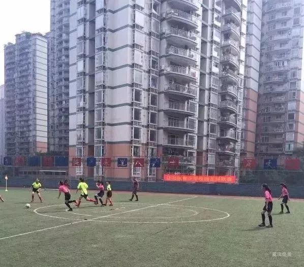 重庆渝北区小学划片一览表2021,重庆九龙坡区小学划片一览表