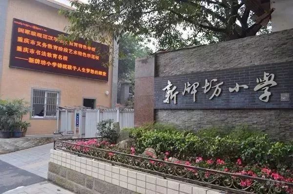 重庆渝北区小学划片一览表2021,重庆九龙坡区小学划片一览表