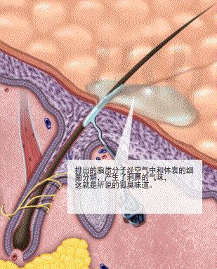 情侣闹分手的解决方式,情侣闹分手最快的方法