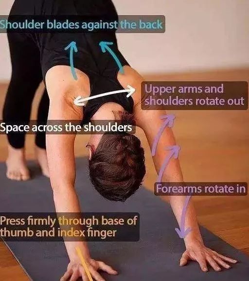 怎么做小臂内旋大臂外旋,大臂外旋和小臂内旋是怎么旋的