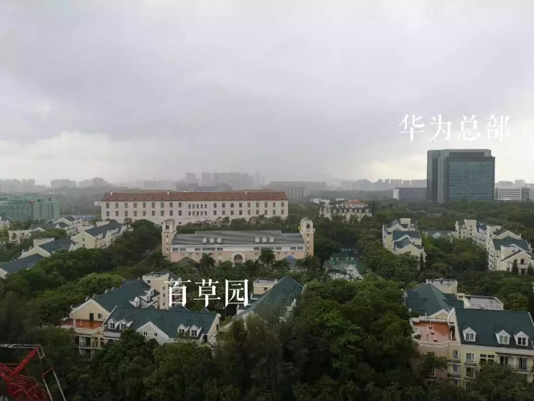 华为员工可以买到深圳房子吗,华为员工能买得起深圳房子吗