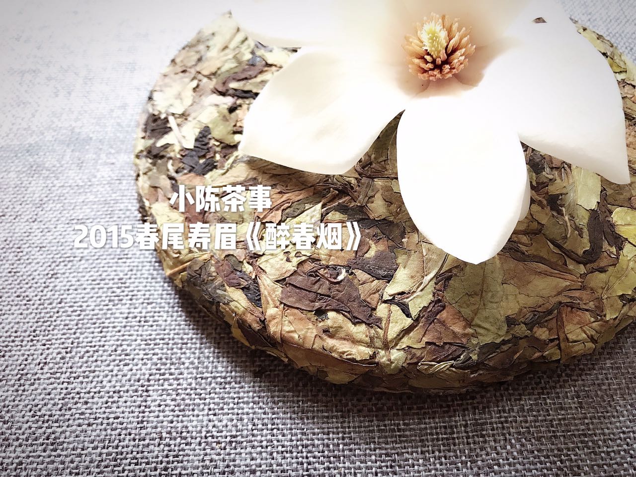 喝老白茶的评语,喝了这么多年的白茶