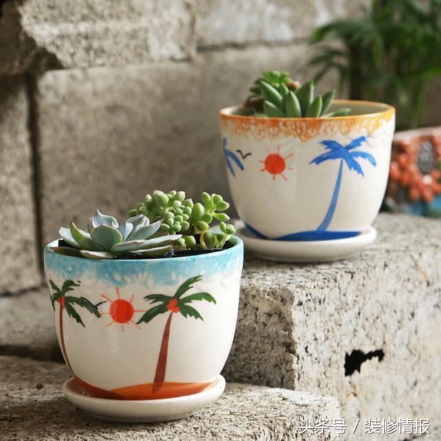 为什么水养吊兰根粗叶黄,吊兰冬天叶黄和干怎么回事