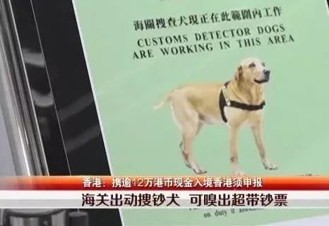 去香港的最新过境规定,香港限日入境最新规定