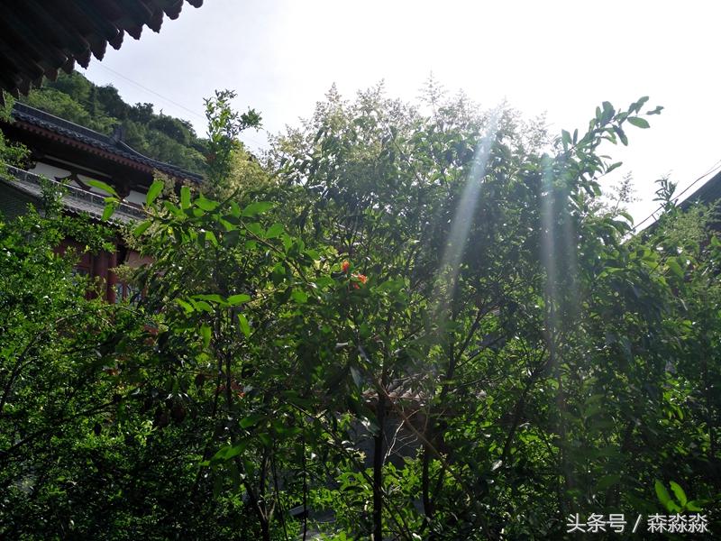 华清宫骊山值不值得去,华清池骊山是一个景点吗