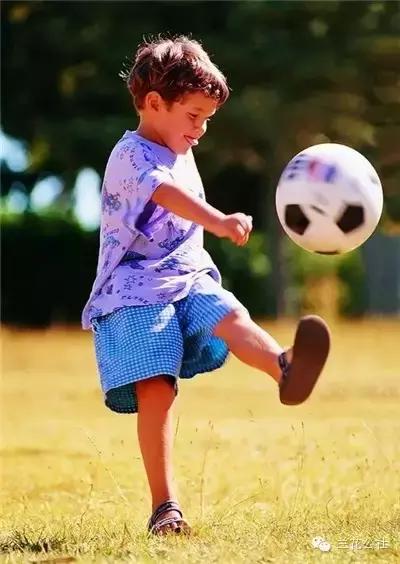 体育是最好的教育深度好文,体育是最好的教育视频