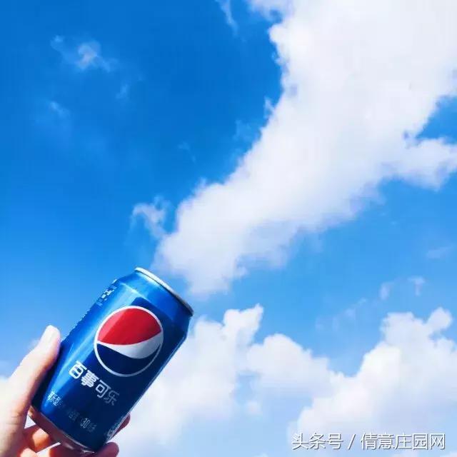 你拍照片,怎么样让拍的照片颜色更鲜艳