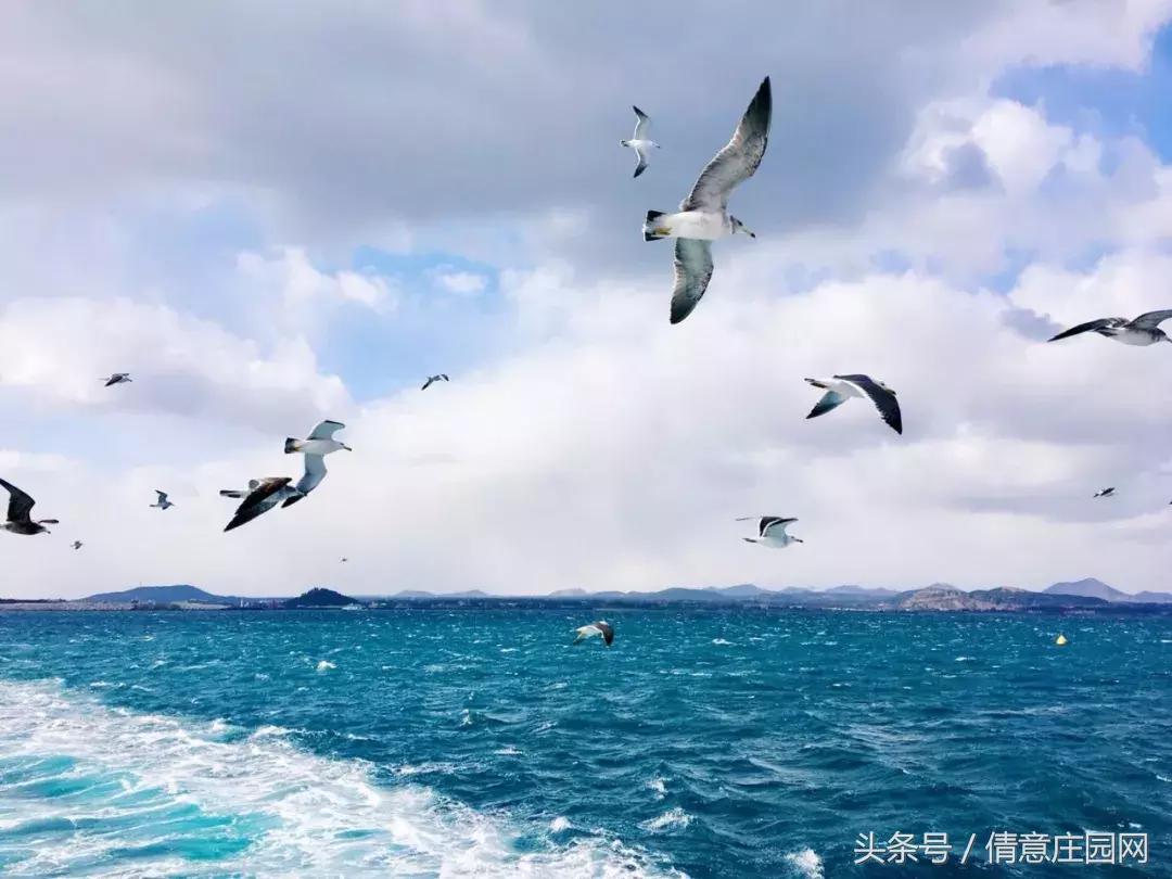 你拍照片,怎么样让拍的照片颜色更鲜艳