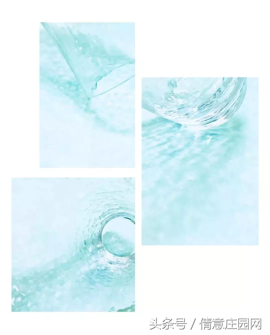 你拍照片,怎么样让拍的照片颜色更鲜艳