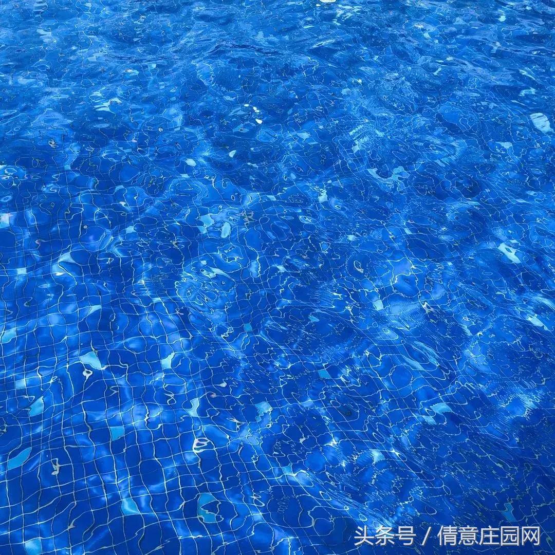 你拍照片,怎么样让拍的照片颜色更鲜艳