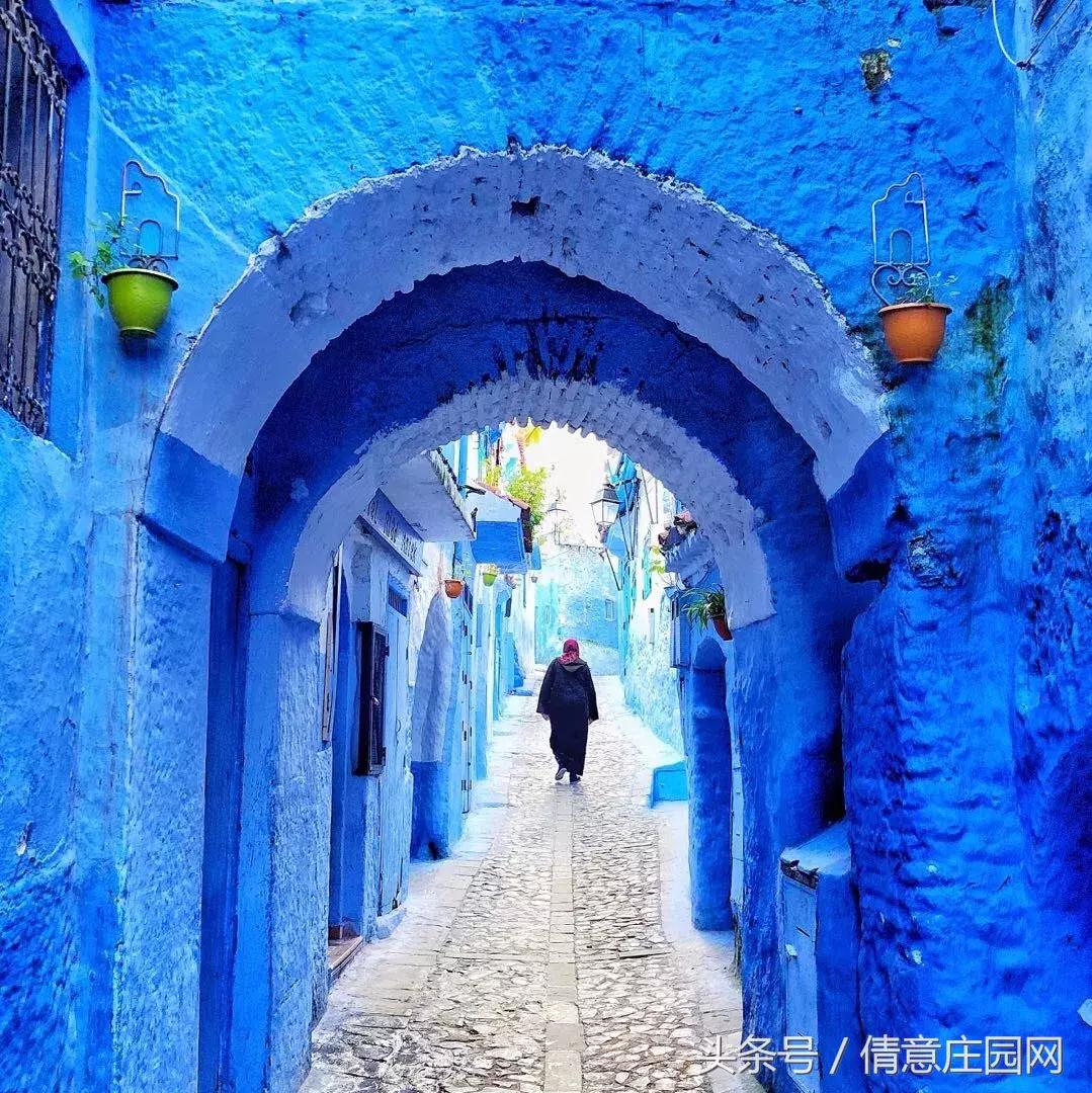 你拍照片,怎么样让拍的照片颜色更鲜艳