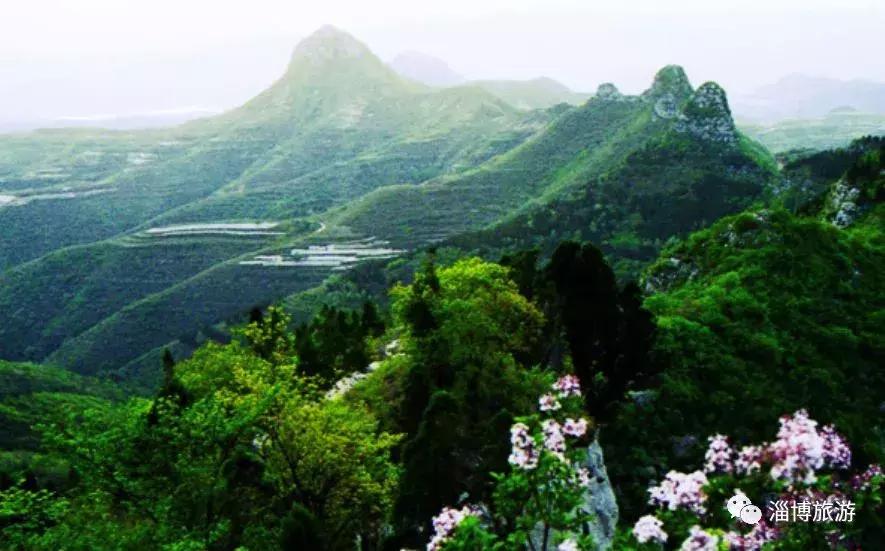 读万卷书行万里路研学圆满结束,山东省优质研学旅行基地资源