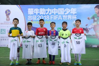 蒙牛世界杯星空杯什么样,蒙牛世界杯冰川杯