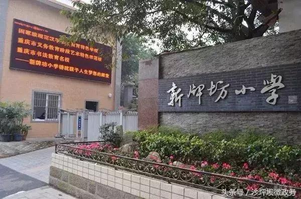 重庆双湖小学对口中学是哪个,重庆大学城第一实验中学对口划片