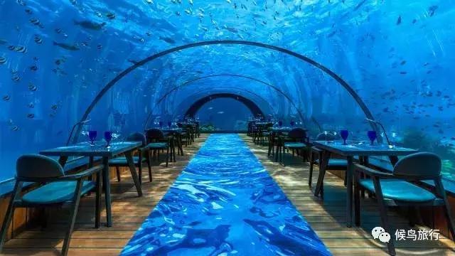 马尔代夫选岛攻略专治选岛困难症,马尔代夫如何选岛