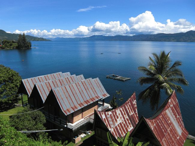 咖啡曼特宁风味和蓝山风味,咖啡曼特宁和意式蓝山